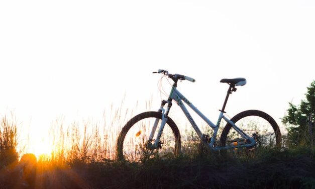 Usa la Bicicleta como medio de transporte y dale un respiro al Medio Ambiente