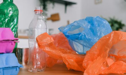 El plástico: ¿el peor enemigo para el medio ambiente?