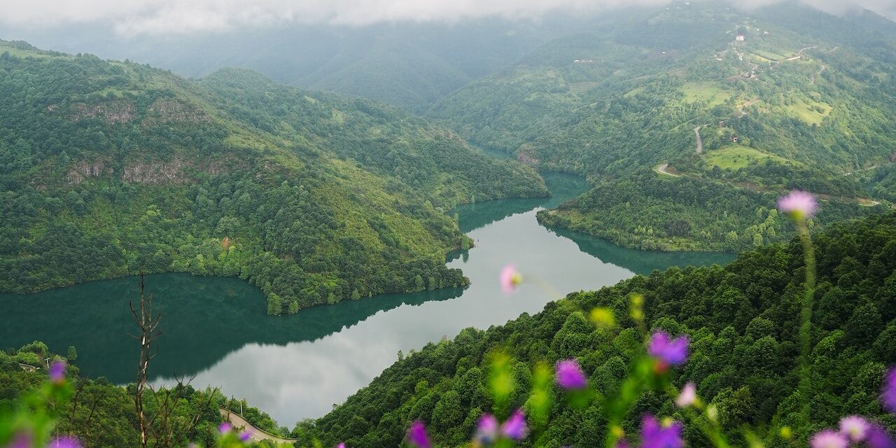La lucha por el medio ambiente: ¿Dónde surgió todo?  La Convención de Rio