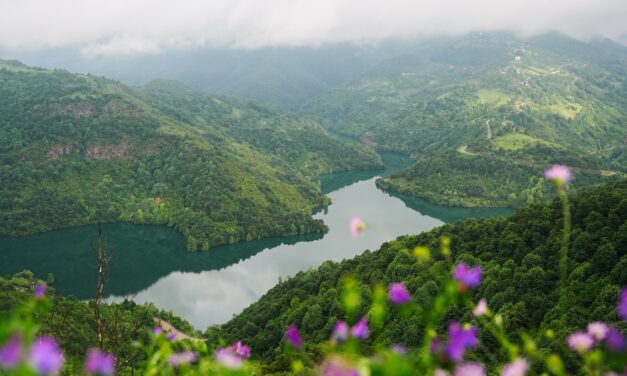 ¿QUÉ ES ESO DE “OTRAS MEDIDAS EFECTIVAS DE CONSERVACIÓN BASADAS EN ÁREAS” (OMEC)?