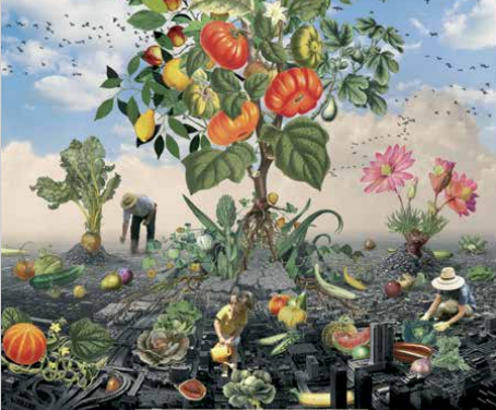 Raíces en el asfalto