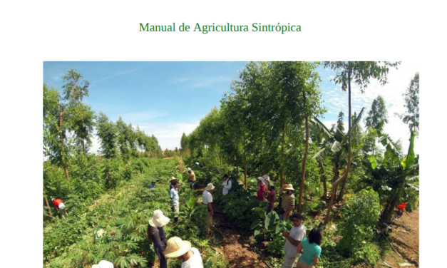 Abundancia Agroforestal