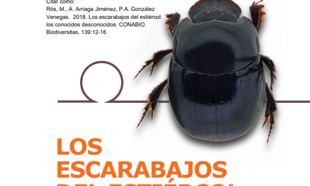 LOS ESCARABAJOS DEL ESTIÉRCOL: los conocidos desconocidos.
