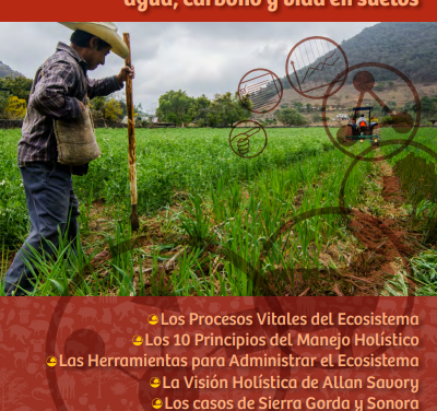 Introducción al holismo: agua, carbono y vida en suelos.
