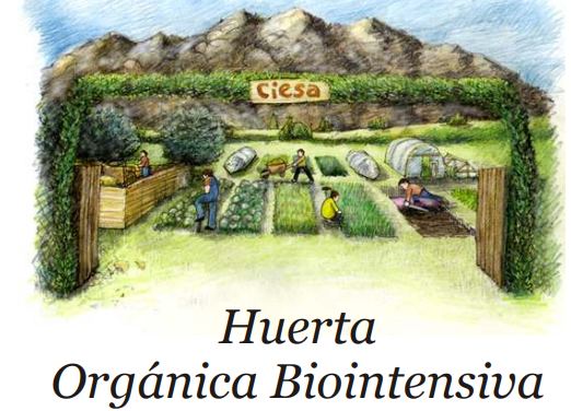 Huerta Orgánica Biointensiva.