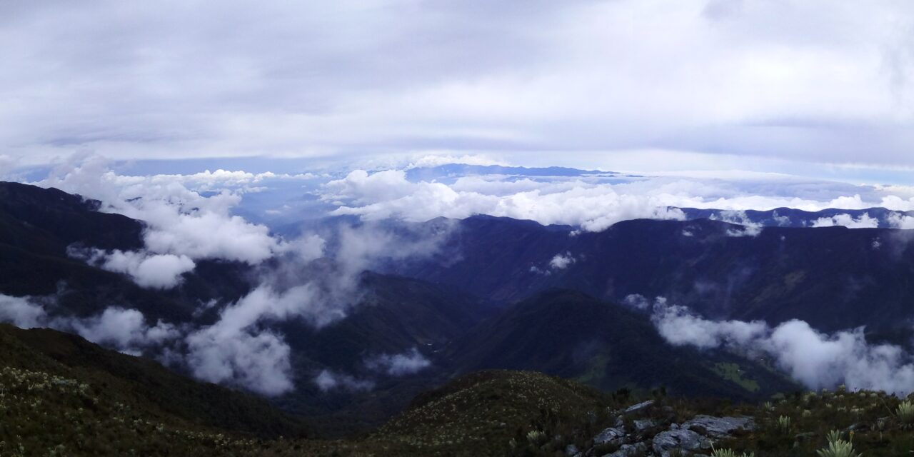 MinAmbiente revoca resolución que protegía 1.499 hectáreas en Santurbán: ¿qué pasará ahora?